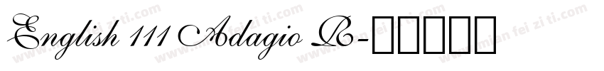 English 111 Adagio R字体转换